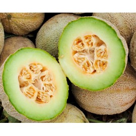 Unbranded Rocky Ford Green Flesh Cantaloupe/Mel