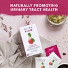 NUTRAFLOW Herbal Tea Blend – Includes Horsetail, Yarrow & Goldenseal