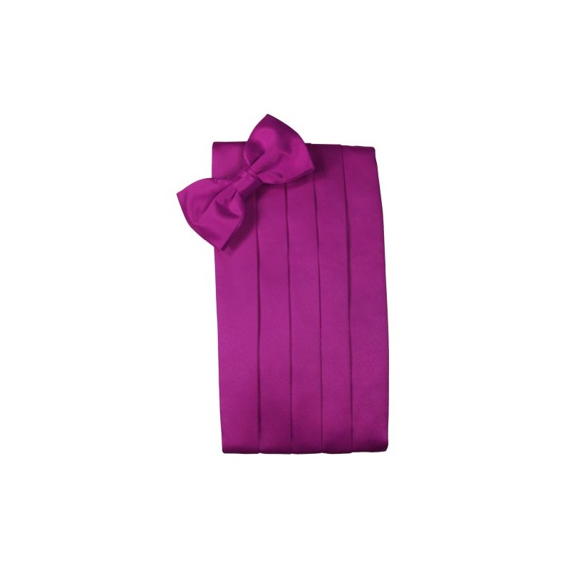 Cardi Men's Solid Satin Bowtie and Cummerbund Set, Fuschia