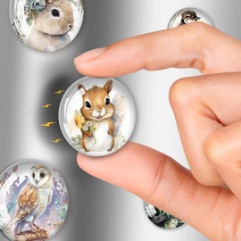 Yuqilin Animal Magnets, Pack of 12 Fridge Magnets, Decorative Magnets, Funny Fridge Magnets, Children's Magnets Fridge Set, Beautiful, for Magnetic Board, Kitchen, Fridge, Office (A)