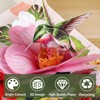 Hierein Birthday Card, Hummingbird and Hibiscus Pop Up Card with