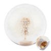 2.8in Shift Knob Crystal Real Dandelions Flowers Universal Accessory with