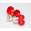 Fine Ceramic Woodland Red Fairy Mushroom Measuring Spoons Set of