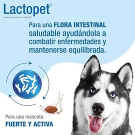 Lactopet Perro Gato Probióticos Prebióticos Lactobacillus