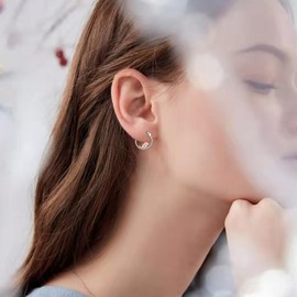 Dolphin Hoop Earrings for Women 925 Sterling Silver Animal Dolphin Earrings Jewellery Gifts for Girls (Dolphin)