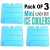 3Pcs Mini Reusable Travel Ice Freezer Blocks for Picnic Lunch