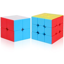 TWSTYFAL 2Pcs Speed Cube 3D Puzzles for Fidget Toys Adults，2x2 and 3x3x3 Smooth Fidget Cube Stress Relief Fidget Toy Brain Teasers Travel Games, Colour Puzzle for Adults, Kids Ages 8 up for Gift