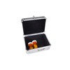 MEDICINE RX SAFE Medication Carrying Case - Mini_Silver