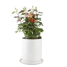 Mozing Ceramic Plant Pots Indoor - Garden Planter Pot for Planting - Modern Flower Pots with Drainage Hole for Home & Office Decor （7x8.5 in Frosted Surface