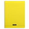 Clairefontaine 8000 Polypropylene Plastic Hardback Notebook 96 Sheets Large Squares