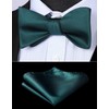 HISDERN Bow tie for men, bow tie with pocket square,