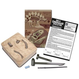 Dinosaurier Ausgrabung T-Rex - 4M Archäologie Set für Kinder - DIY Dinosaurier Skelett Bausatz - Ausgrabungsspielzeug ab 5 Jahren - Tyrannosaurus Rex Skelett zusammenbauen