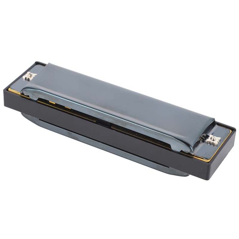 Blues Harmonica C Key 10 Holes Diatonic Mouthorgan Wind Instrument