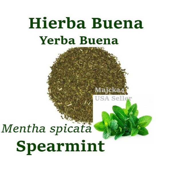 Hierbabuena Hierba Buena Yerba Buena 4 oz Spearmint Mentha spicata