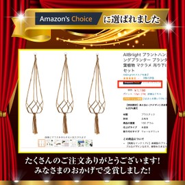 AllBriight Plant Hanger Hanging Planter Plant Hanging Plant Macrame Rope Set of 3