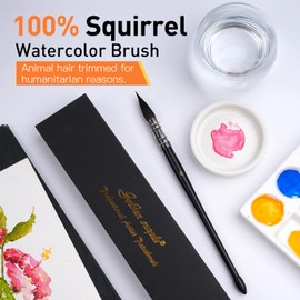 Professional Watercolor Brush Size 8, Natural Soft Squirrel Hair Watercolor Paint Brush, Round Fine Tip Mop Brush for Watercolor, Art Painting, Gouache