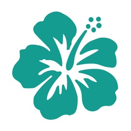 Hibiscus Flowers (5", Turquoise)