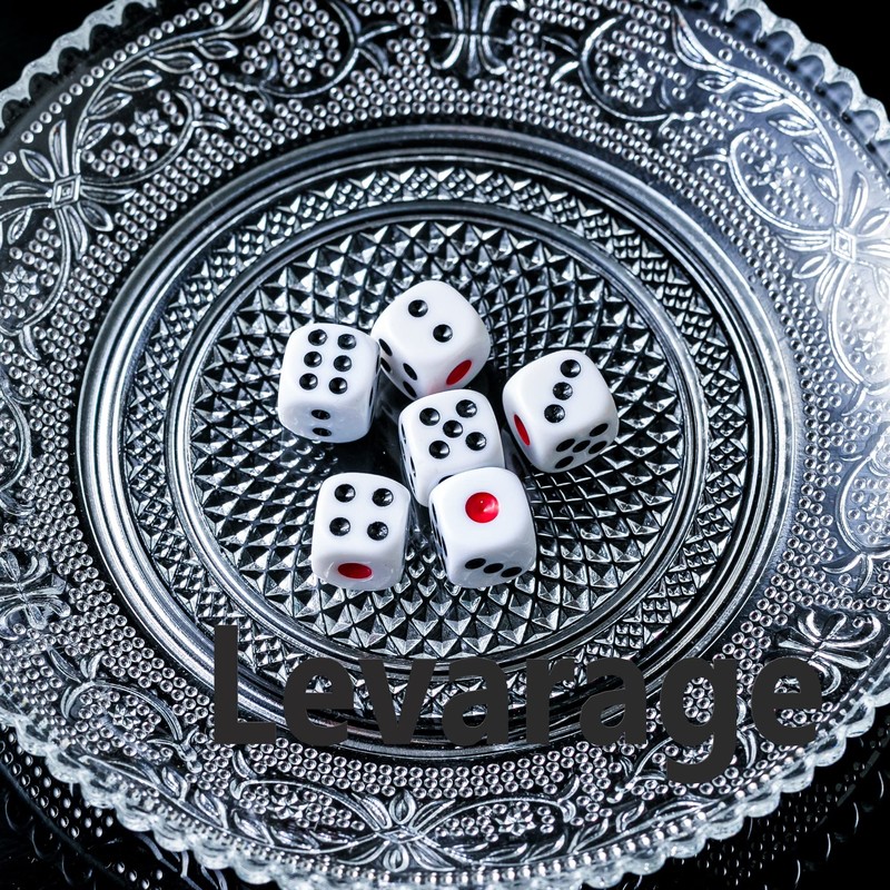 Levarage 0034 6 Pieces Dice with Storage Case 12mm Square