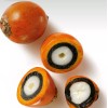 Natura Pulpa Para Las Manos Tukuma Ekos Natura 75g