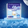 SOFY Cooling Fresh Comfort Sleep Panty L 5P - Comfort