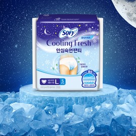 SOFY Cooling Fresh Comfort Sleep Panty L 5P - Comfort Sleep Panty L 5P