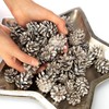 com-four® Pine Cones for Christmas – Pine Cones as Christmas