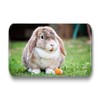 Merchandise for Fans 01 Rabbit Fridge Magnets Rectangular 7 x