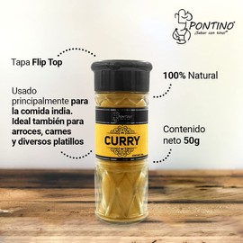 Pontino Curry 50 Gramos 2 Piezas