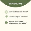 Nature's Therapy Raiz de cúrcuma - Antiinflamatorio Natural Muscular Y