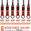 Zeyfon Resistance Bands, 300lbs Heavy Exercise Bands with Handles, Workout