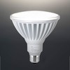 Xtricity PAR38 LED High Lumen Flood Light Outdoor, 325W Eqv