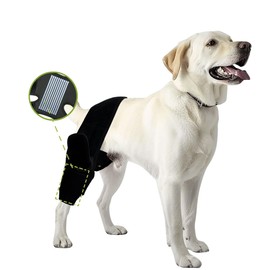 Fristbrace Dog Leg Braces for Back Leg Dog ACL Brace for Torn and Back Hind Rear Legs ACL Tear, Dog Leg Brace for Hip Dysplasia, Dog Arthritis, Luxating Patella(Size M)