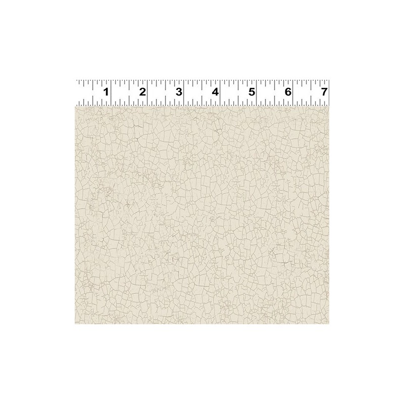 Clothworks Dan DiPaolo Enjoy The Little Things Crackle Y4065-11 Light