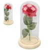 Rose in Glass Dome Lucky Beautiful Symbolism Romantic Enchanted Rose