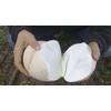 CEMEHA SEEDS - Giant Puffball Mushrooms Non GMO for Planting