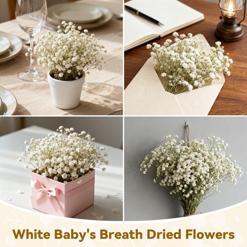 ForestM 100PCS Dried Pressed Flowers,Natural Baby Breath Dried,Dry Flowers