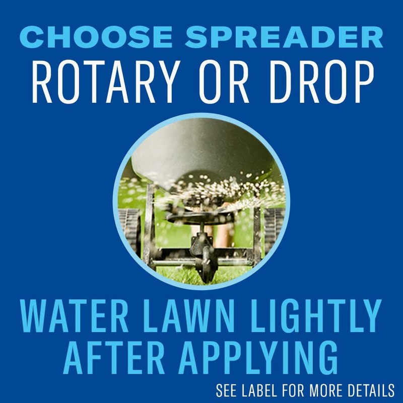 BioAdvanced Season Long Grub Control, Ready-to-Spread Granules for Insects, 10