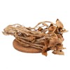 250g/bag Chinese Herbal Agrocybe Cylindracea New Ecology Dried Tea Tree