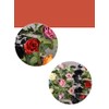 Artificial Vine Garland, Flower Rose Leaf Garland Fake Floral Wall