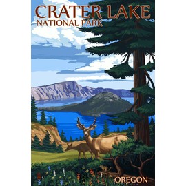 Crater Lake National Park, Oregon, Deer Family (16x24 Giclee Gallery Print, Wall Decor Travel Poster)