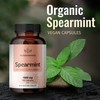 Spearmint 100 Capsules - 1000 mg - Organic Mentha Spicata