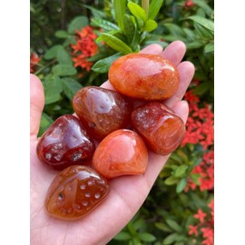 Wholesale Carnelian Pebble, Large Carnelian Tumbled Stone, Natural Polished Carnelian Crystals, Carnelian Palm Stone, Carnelian Healing Crystals (Carnelian, 0.25 Pound)