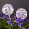 Tomorotec Glass Plant Self Watering Globes 2-Pack Pearl Luster Clear