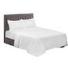 Sapphire Collection 800 Thread Count Pure Egyptian Cotton Super Soft