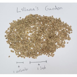 Tomato Seeds “San Marzano” - Large Plum (Roma) Sauce-Type Tomato with Intense Flavor | Heirloom Seeds by Liliana's Garden |