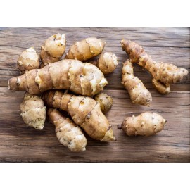 Greenhouse PCA 25 Jerusalem Artichoke Sunchoke Tubers For Planting or Eating by Greenhouse PCA
