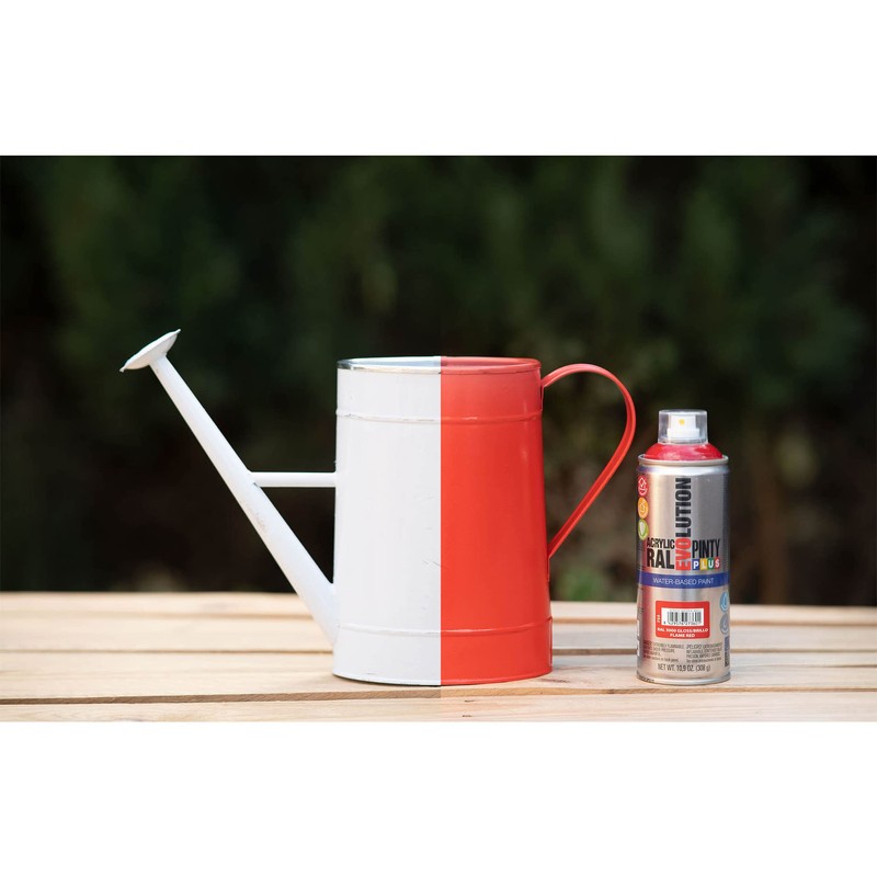 PINTY PLUS Water Based Spray Paint, 11oz, Low GWP Propellant,