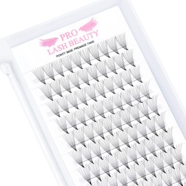 Ready-to-Use Eyelash Fans, 9D-D-0.07-12, Ready-to-Use Fan Eyelash Extensions, 0.07 Volume Eyelashes, C D Curl (9D-D-0.07-12)