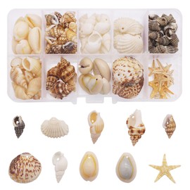 GraceAngie 1 Box 120pcs Small Tiny Sea Shells Mixed 10 Styles Beach Natural Seashell Charm Beads with Hole for DIY Jewelry Making, Home Decorations Beach Theme Party Fish Tank and Vase Fillers