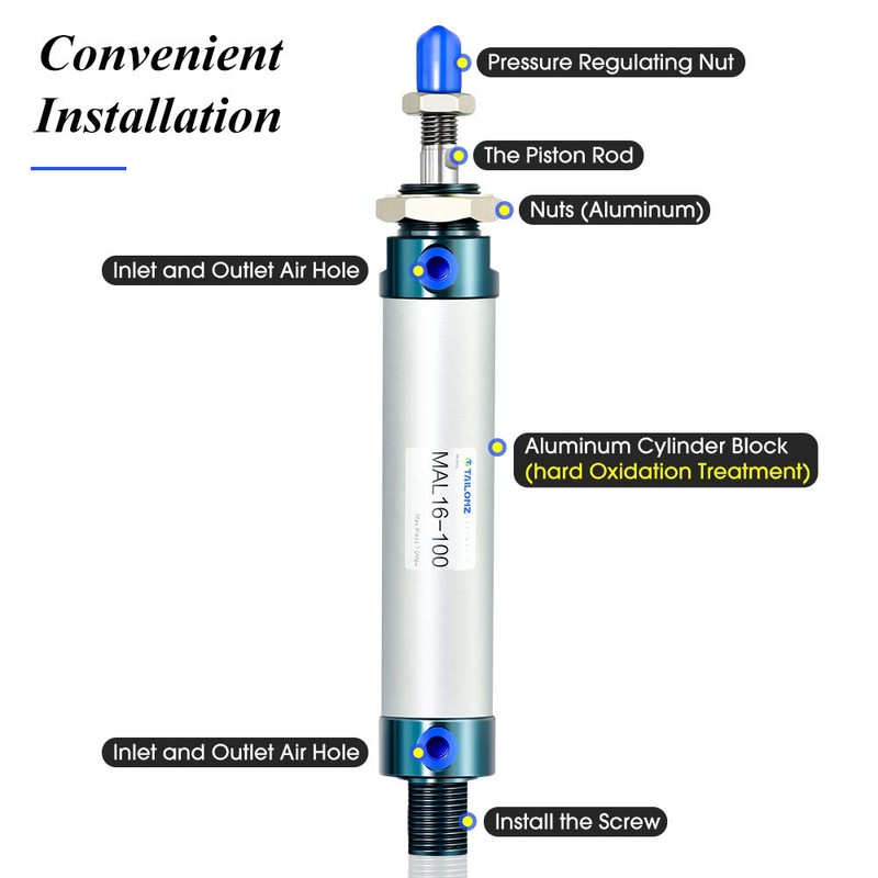 TAILONZ PNEUMATIC 16mm Bore 100mm Stroke Air Cylinder Double Action
